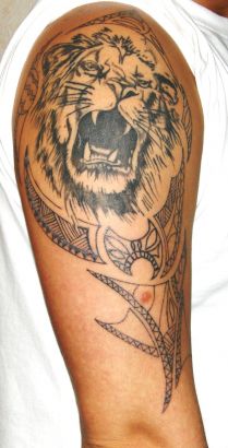 Lion Head Pics Tattoo On Arm