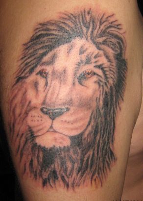 Lion Head Tattoo Images On Arm
