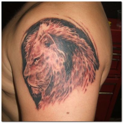 Lion Head Tattoos For Arm