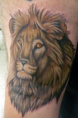 Lion Tattoo Picture