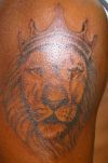 king lion tattoo