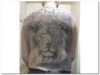 large lion tattoo on back