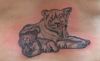lion and cub tattoo 