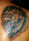 lion head image of tattoo