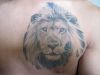 lion head pic tattoo on chest