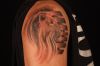 lion head pic tattoo