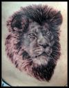 lion head pics of tattoos