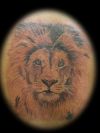 lion head pics tattoo