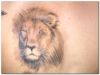 lion head picture tattoo