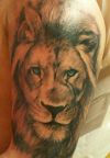 lion head tattoo image on arm