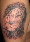 lion head tattoo images on arm