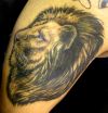 lion head tattoos images on arm