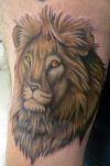 Lion tattoo picture