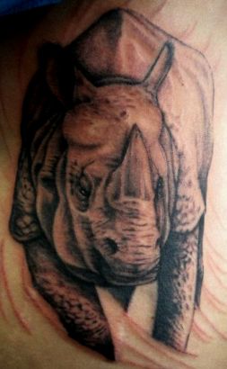 Rhino Tattoo Pic