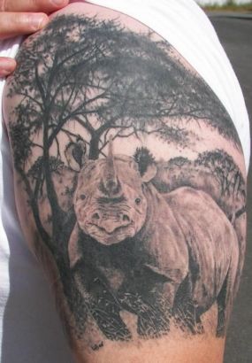 Rhino And Tree Tattoo