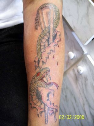 Snake And Drum Stick Tattoo