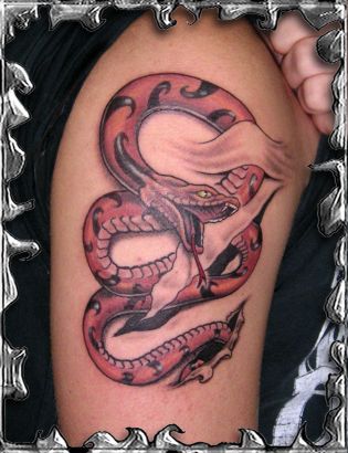 Snake Pic Of Tattoo Design