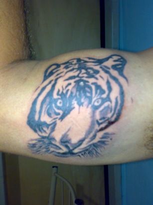 Tiger Tattoo On Biceps
