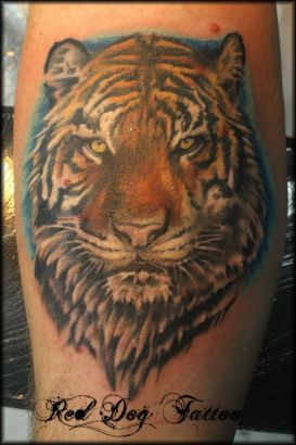 Tiger Head Tattoo Pics