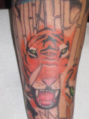 Tiger Head Pic Tattoo