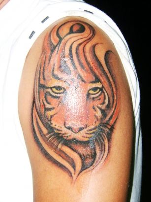 Tiger Tattoos Gallery
