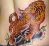 tiger pic tattoos