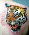 tiger head tattoo pic