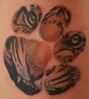tiger paw tattoo