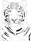 tiger free tattoos