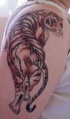 tiger images tattoo