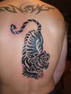 Tiger tattoos design pics