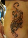 Tiger tattoos design gallery