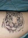 Tiger tattoos on hand