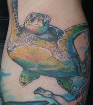 Sea Turtle Tattoos