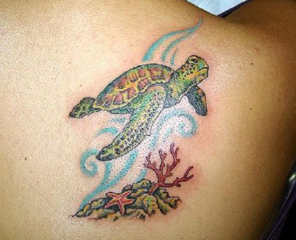 Turtle Tattoo Image On Right Shoulder