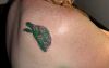 turtle tattoo on back