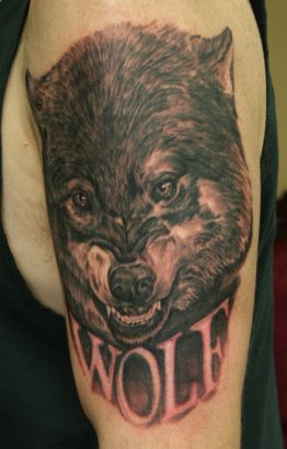 Wolf Image Tattoo On Arm