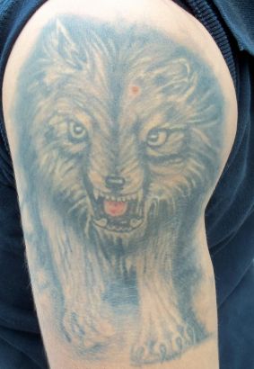 Wolf Pic Tattoos On Arm