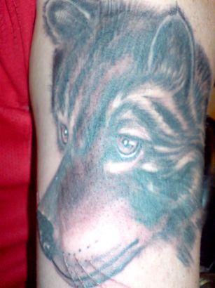 Wolf Tattoos Design Image
