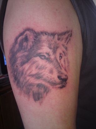 Wolf Tattoos Image Gallery