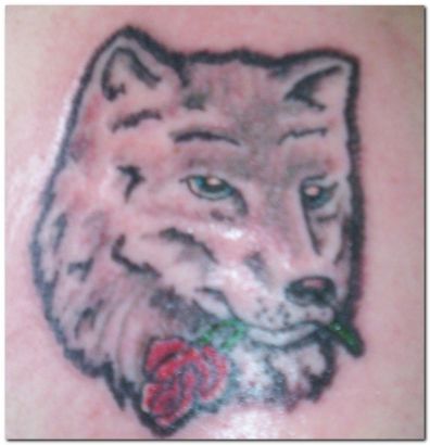 Wolf With Rose Tattoo