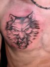 wolf head image tattoo on chest