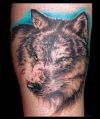 wolf head pic of tattoo