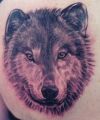 wolf head pic tattoo