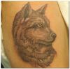 wolf face tat on arm
