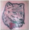 wolf with rose tattoo