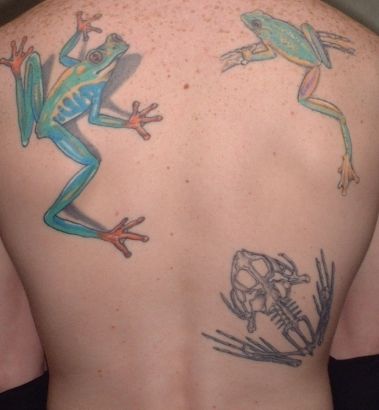 Frog Picture Of Tattoos On Back