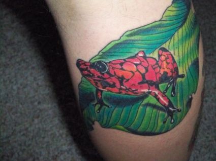 Red Frog Tattoo 