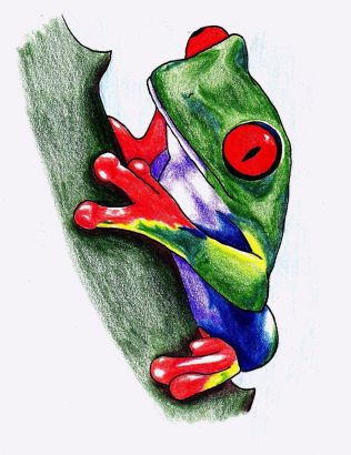 Tree Frog Tattoo Image