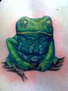 frog pics of tattoos